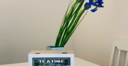 Černá Hora – Sunny Side Spa & Conference resort 2KK apartmán